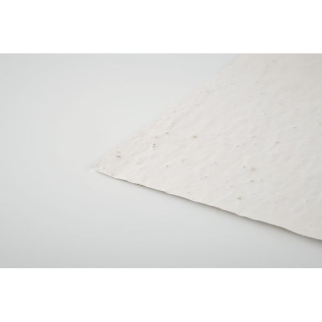 Feuille de papier recyclé à planter A6 Asido