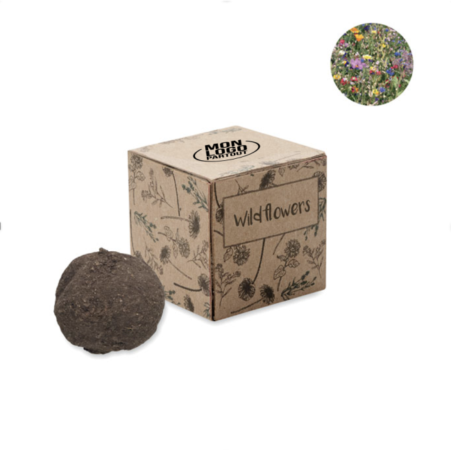 Kit de culture de graines BOMBI