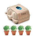 Lot de 4 pots en terre cuite Cress 