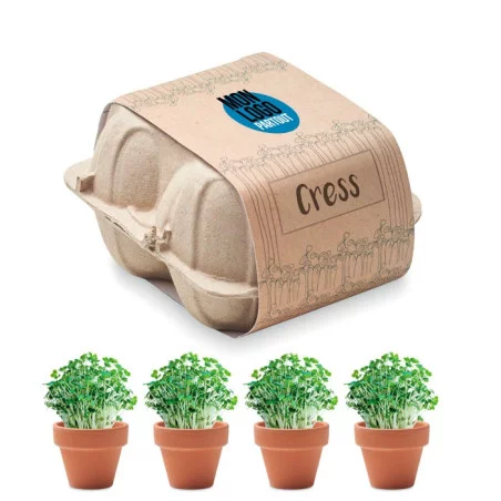 Lot de 4 pots en terre cuite Cress 