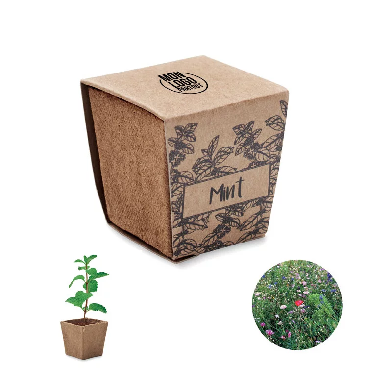 Pot de plantation de menthe...