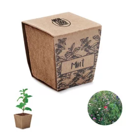 Pot de plantation de menthe...