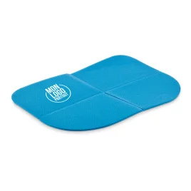 Coussin de siège...