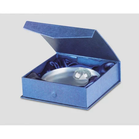 Trophée en Verre Globe Personnalisable 