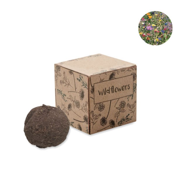 Kit de culture de graines BOMBI