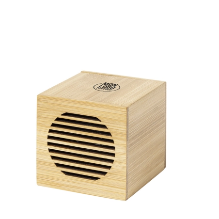 Haut-parleur personnalisé Teoden 