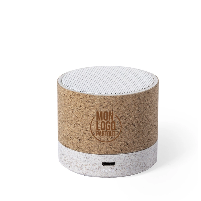 Enceinte personnalisable Nerel