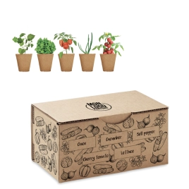 Kit culture de salade Fresh