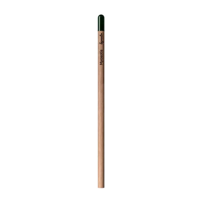 Sprout ® Le crayon personnalisable qui germe 