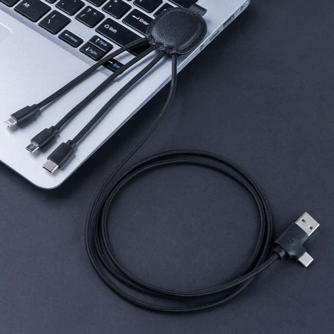 Câble multi-connecteur Ine Smart long 