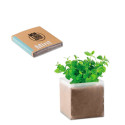 Substrat avec graines Menthe Promotionnel 