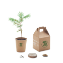 Kit plantation publicitaire GROWTREE ® 