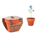 Kit plantation publicitaire Myosotis 