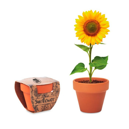 Kit plantation publicitaire Tournesol 