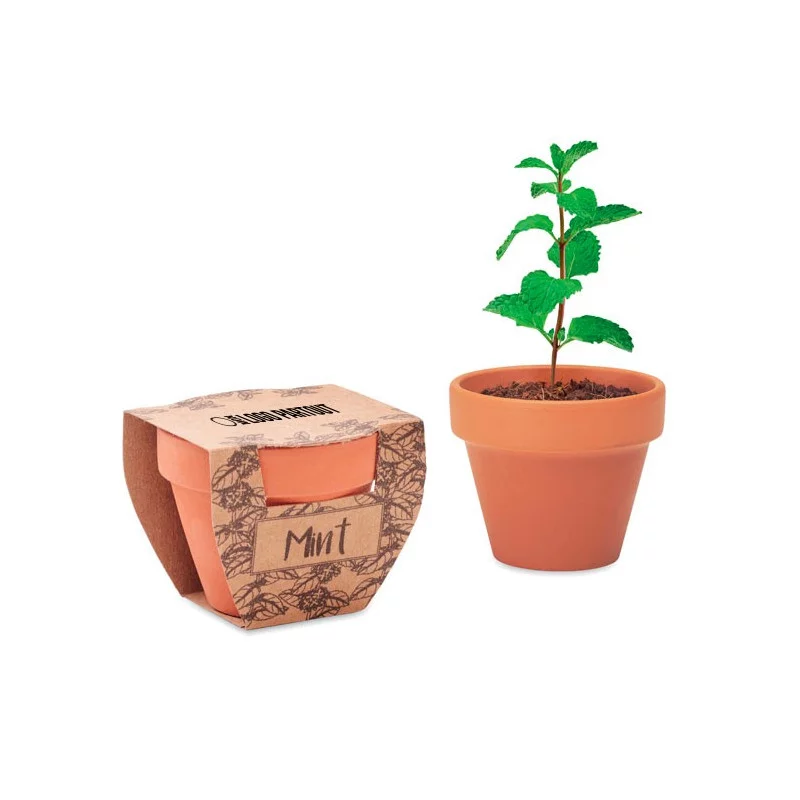 Petit pot de graines publicitaire Mint Pot 