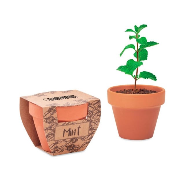 Petit pot de graines publicitaire Mint Pot 