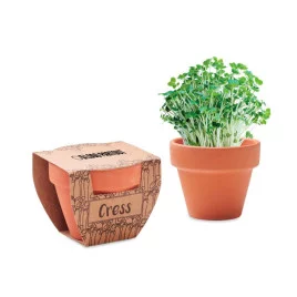 Petit pot avec graine Cress...