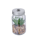 Plante Personnalisée décorative Kyala 