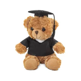 Ours en peluche diplômé