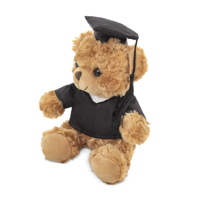 Ours en peluche diplômé 