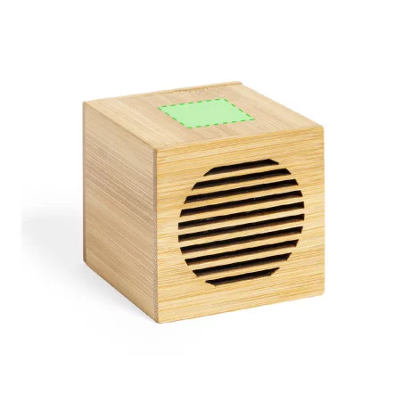 Haut-parleur personnalisé Teoden 