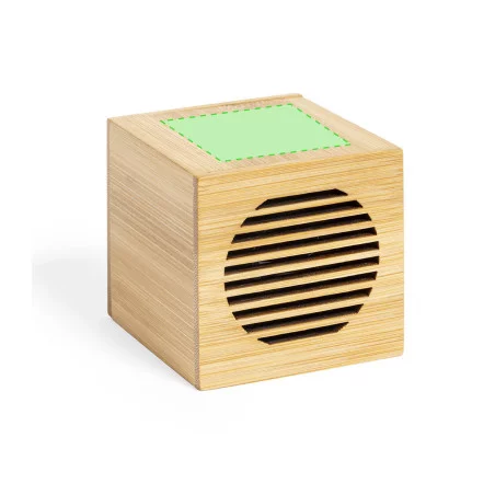 Haut-parleur personnalisé Teoden 