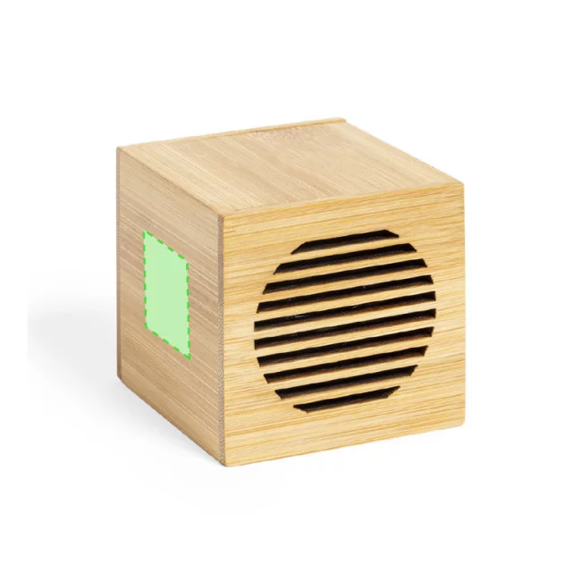 Haut-parleur personnalisé Teoden 