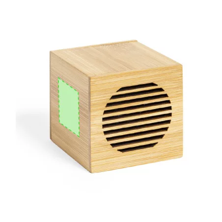 Haut-parleur personnalisé Teoden 