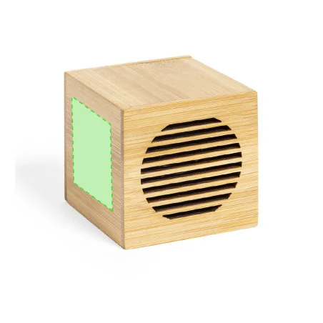 Haut-parleur personnalisé Teoden 