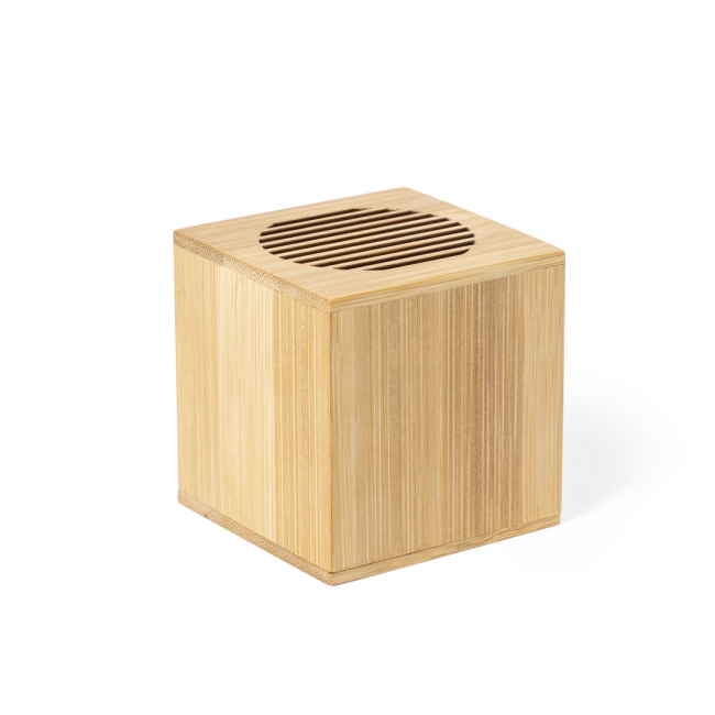 Haut-parleur personnalisé Teoden 