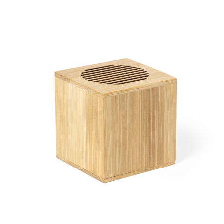 Haut-parleur personnalisé Teoden 