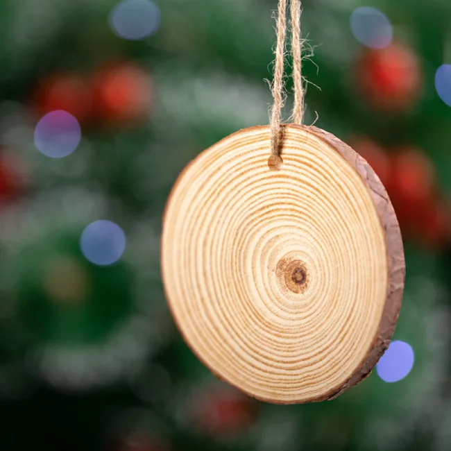 Suspension de Noël Rupol