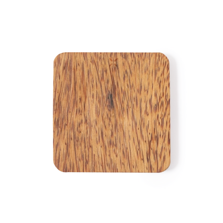 Station de recharge induction Raston 