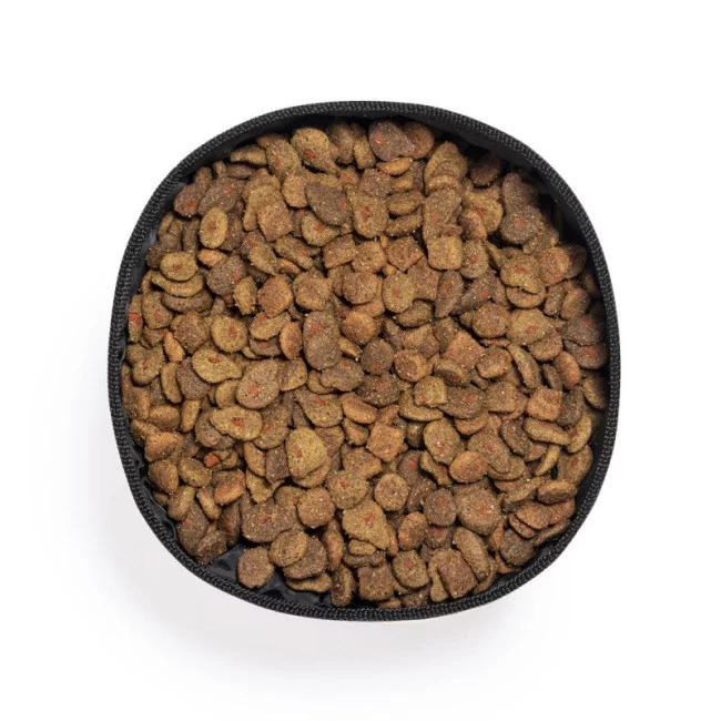 Gamelle pliable pour chien Poppy 