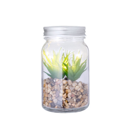 Plante Personnalisée décorative Kyala 