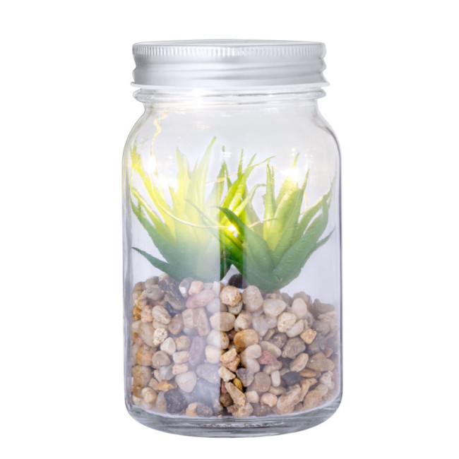 Plante Personnalisée décorative Kyala 