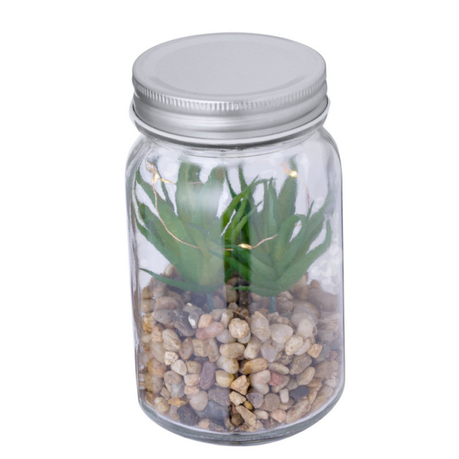 Plante Personnalisée décorative Kyala 