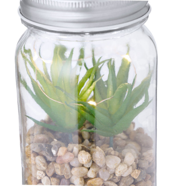 Plante Personnalisée décorative Kyala 