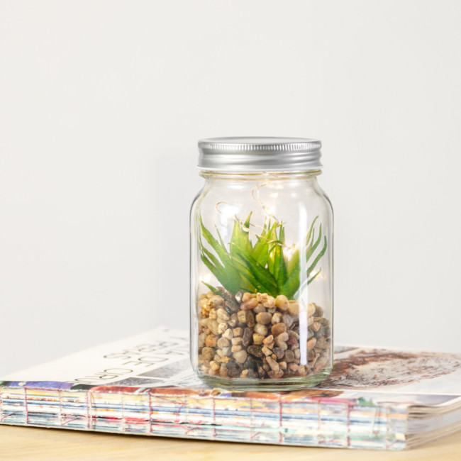 Plante Personnalisée décorative Kyala 