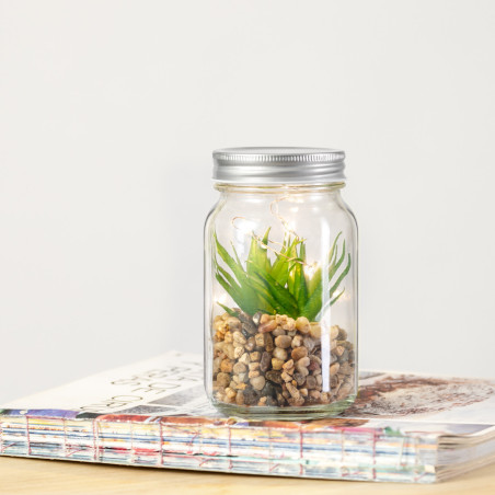 Plante Personnalisée décorative Kyala 