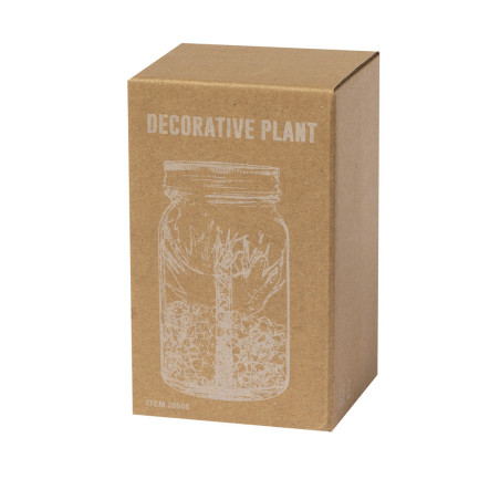 Plante Personnalisée décorative Kyala 