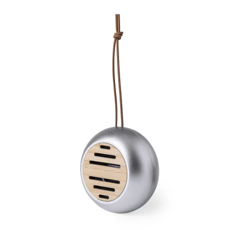 Haut-parleurs Personnalisé Hiwent 