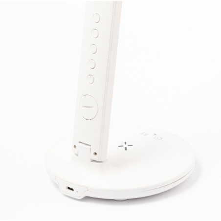 Lampe multifonction personnalisée Evanex 