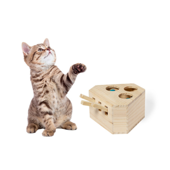 Jeu Personnalisé pour Animaux De Compagnie Kesel 