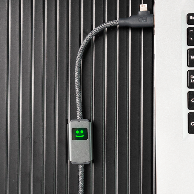 Câble charge rapide 100W personnalisé Xoopar ® 
