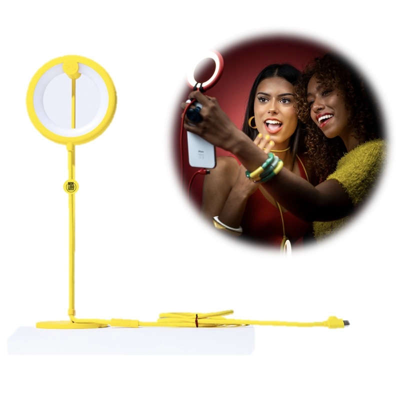 Lampe de bureau personnalisée Bily Bird Xoopar ® 