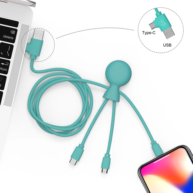 Câble de recharge Mr BIO long Xoopar ® GRS 