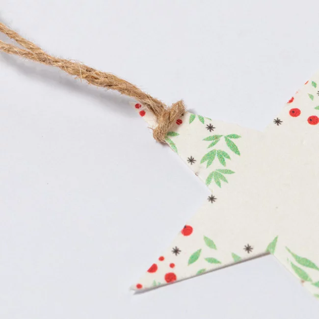 Décoration de Noël ensemencée Boster 