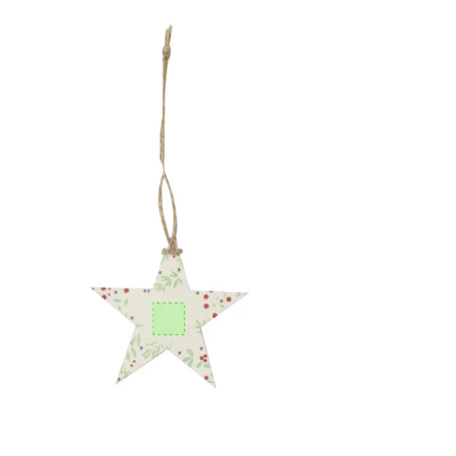 Décoration de Noël ensemencée Boster 