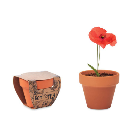 Kit plantation publicitaire Coquelicot 